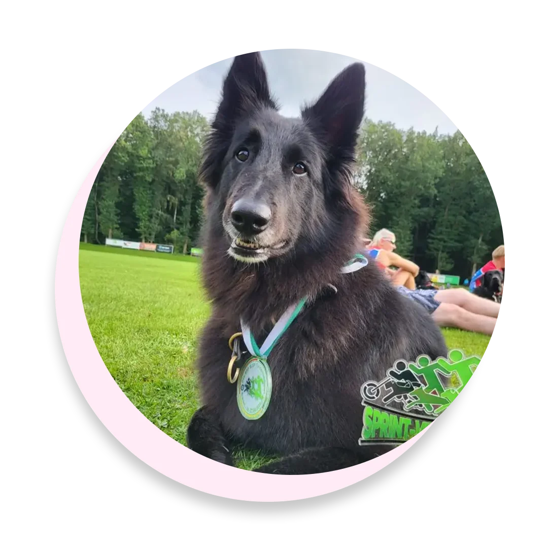 Mitarbeiterbild von Hund Bonny